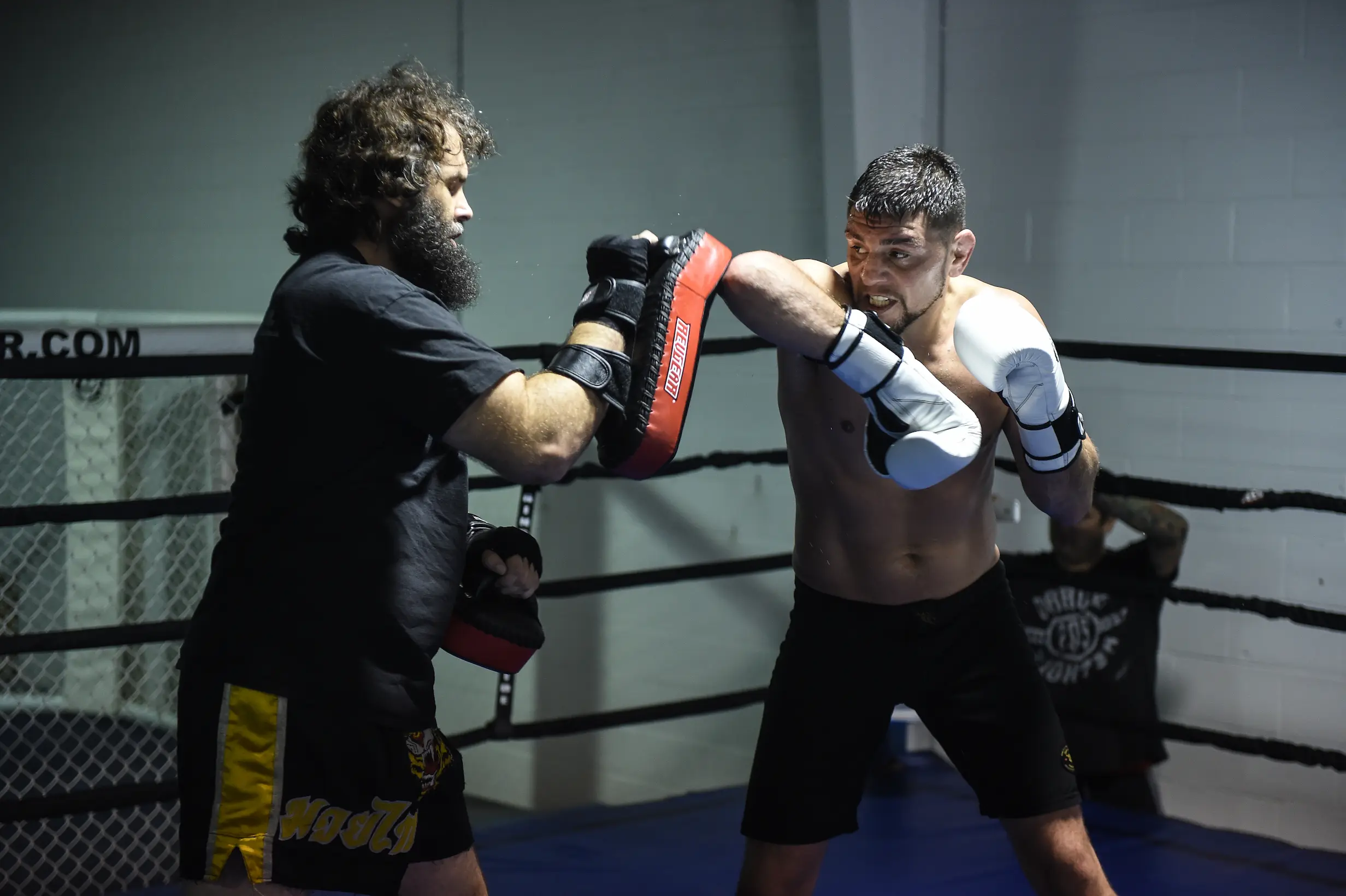 Team Black photo (Gym's own website (og:image))